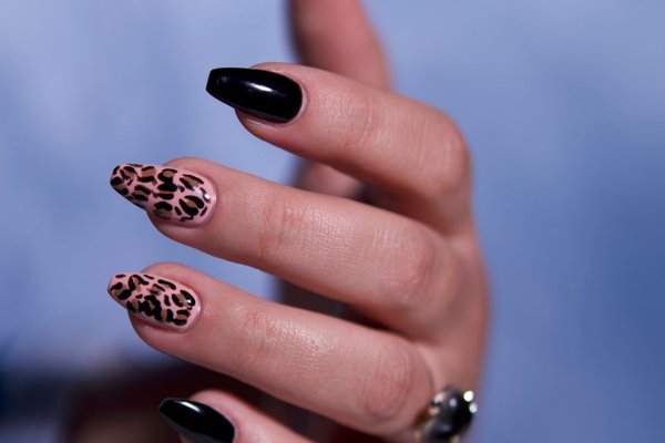 Salon Basics